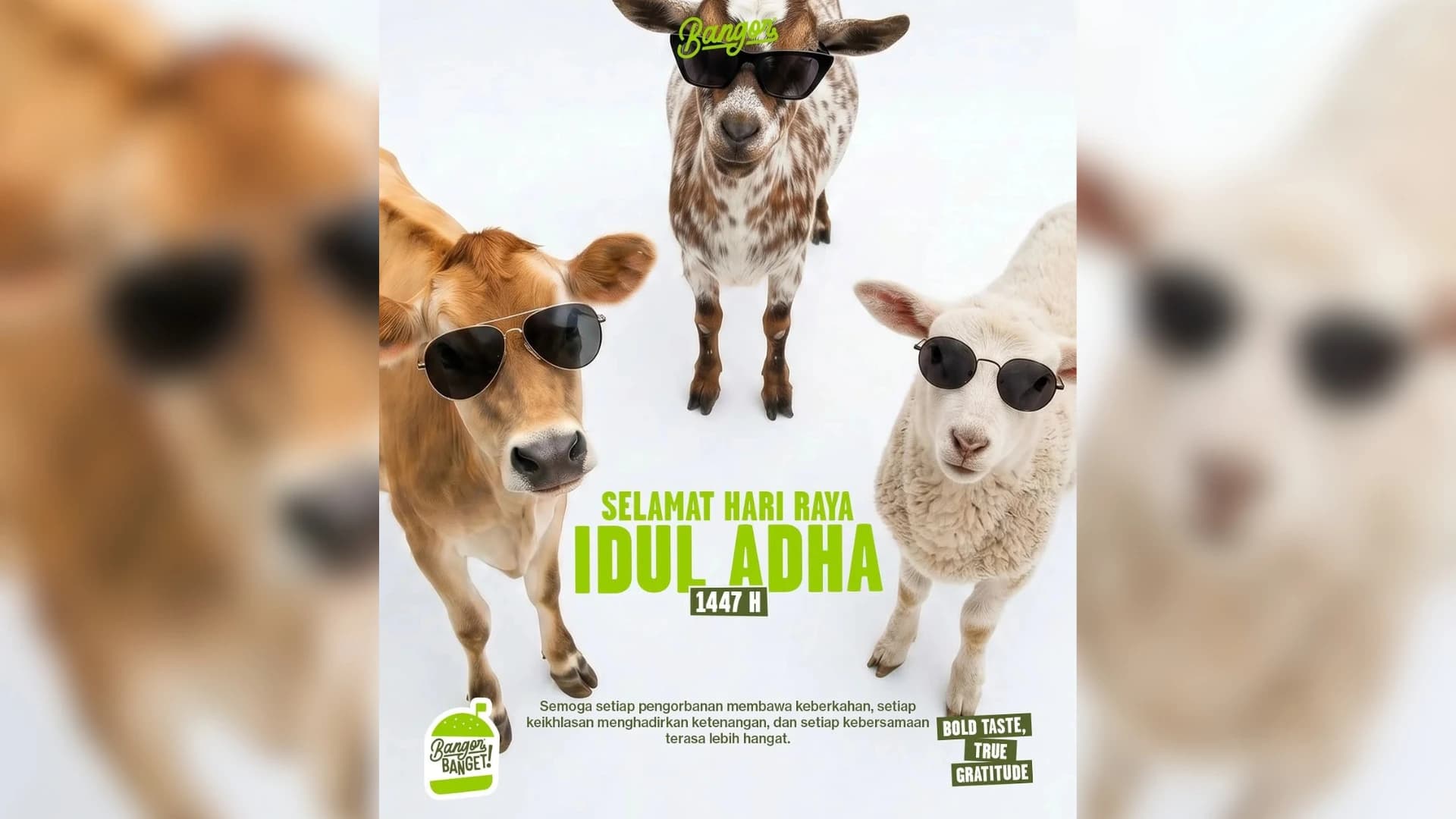 Rekomendasi Ide Caption Idul Adha