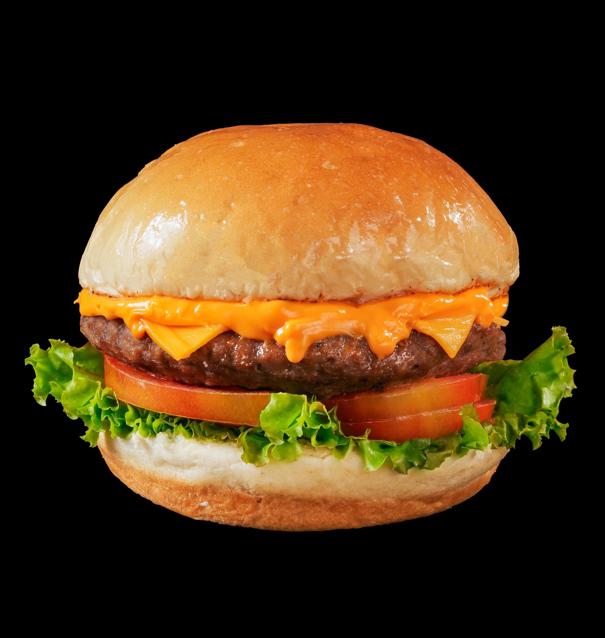 Cheese Bangor Jr Large